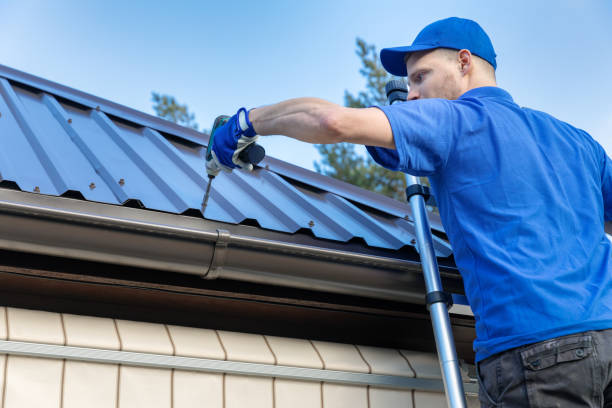 Best Steel Roofing  in Ely, IA