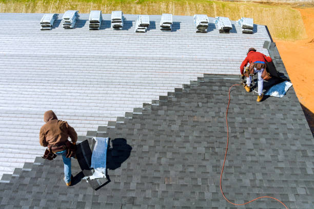 Best Roof Moss and Algae Removal  in Ely, IA