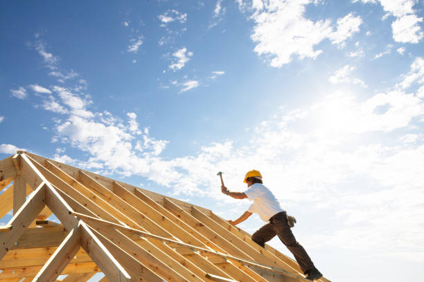 Best Roof Insulation Installation  in Ely, IA